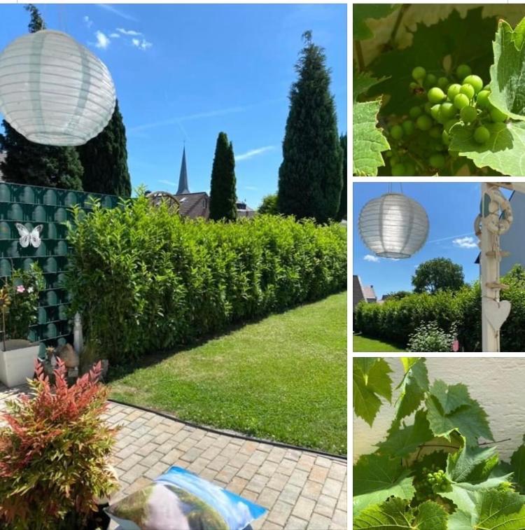Apartment Glesch Bergheim  Eksteriør billede